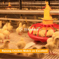 Design chicken house and fully automatic broiler cage for Kenya poultry farm